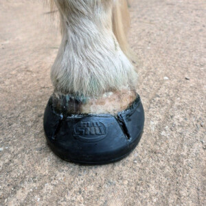 Composite shoe