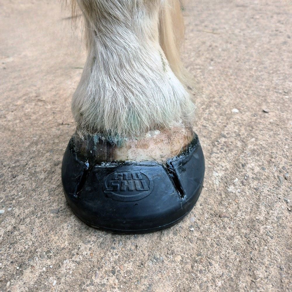 Composite shoe Composite shoe
