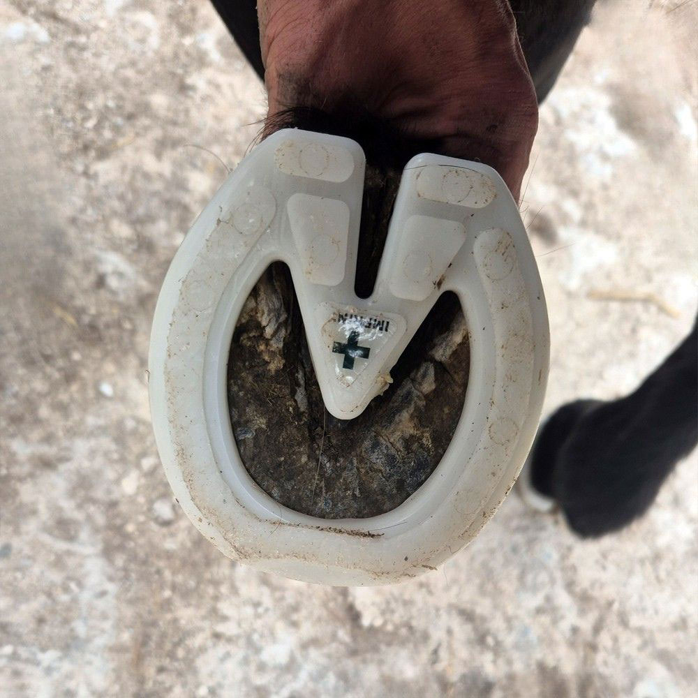 Imprint shoe Imprint shoe