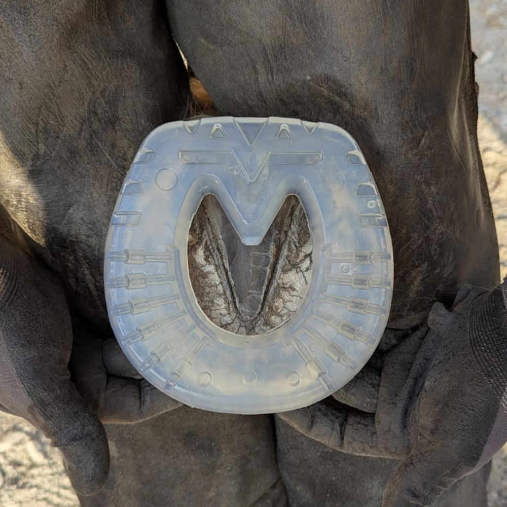 A composite horse shoe A composite horse shoe
