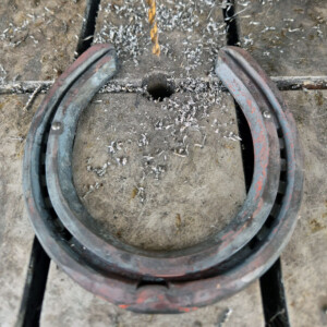 A horse shoe with road pins