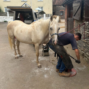 Ross shoeing a horse