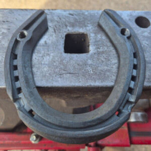 A horse shoe with stud holes for removable screw-on studs